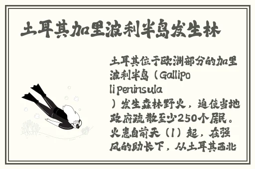 欧美成人图片